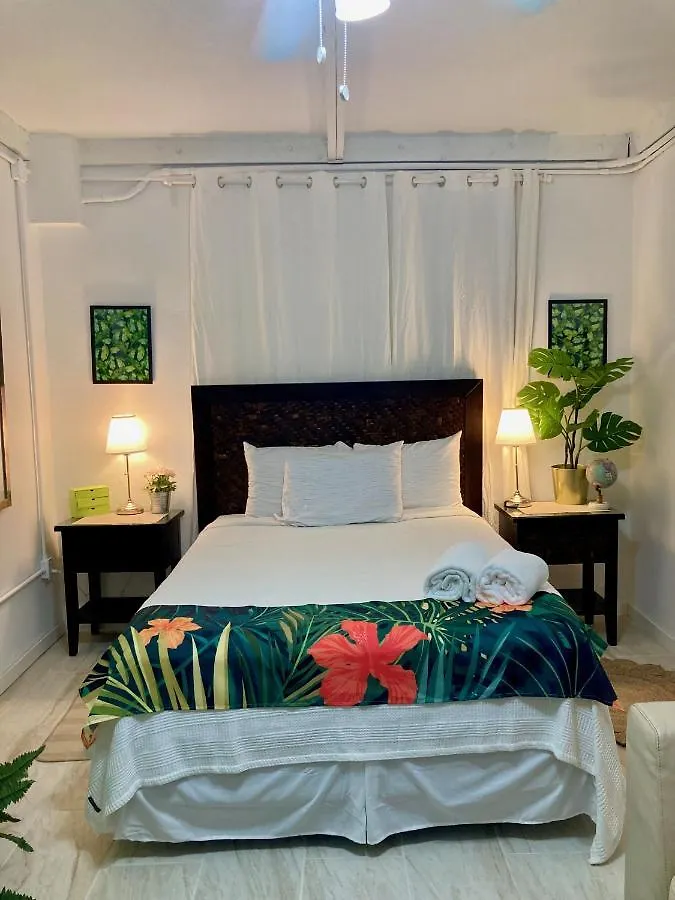 Tropical Apartments In Miramar San Juan Puerto Rico